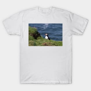 Puffin on the edge of a cliff T-Shirt